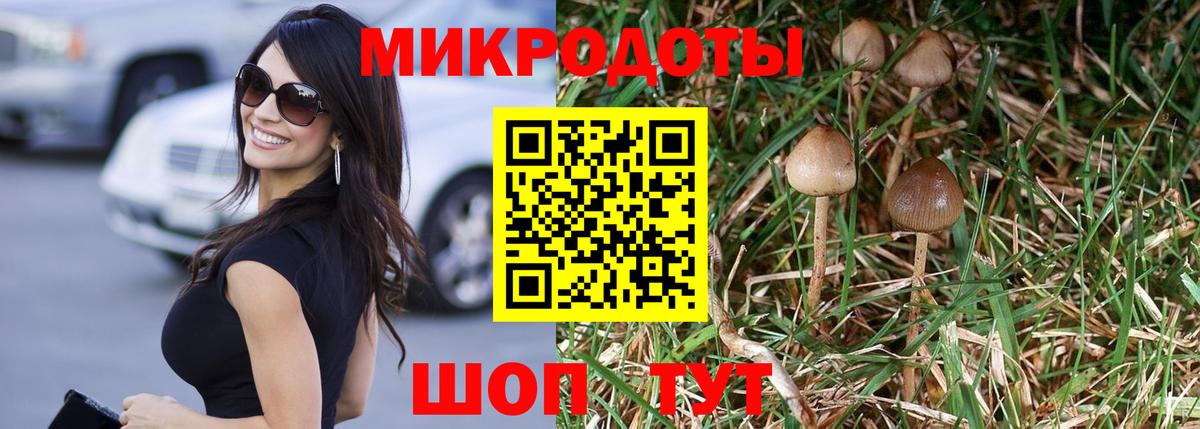 Псилоцибиновые грибы GOLDEN TEACHER  Вход с VPN  Краснодар 